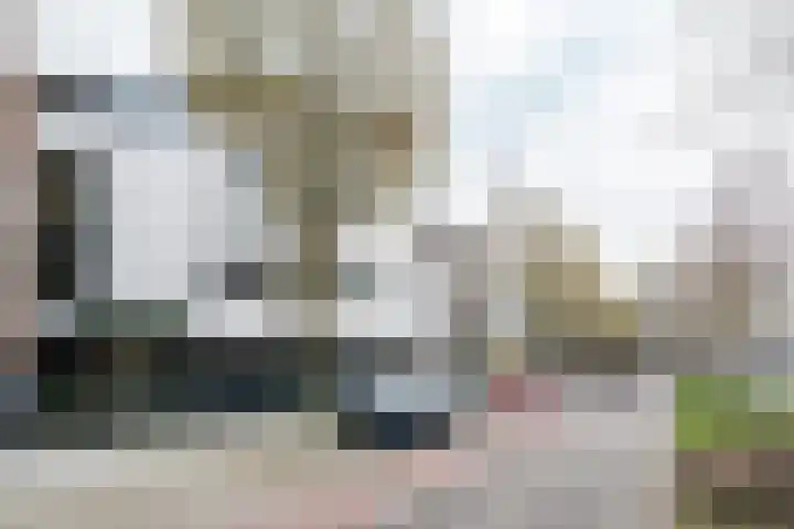 Emmasingel 87 C Weert thumbnail 57