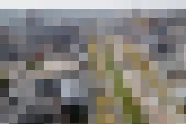 Emmasingel 87 C Weert thumbnail 58