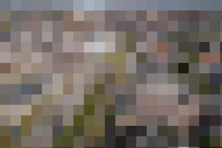 Emmasingel 87 C Weert thumbnail 59