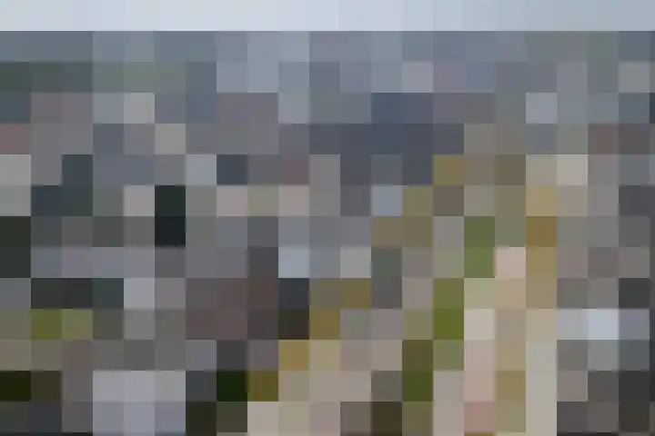 Emmasingel 87 C Weert thumbnail 60