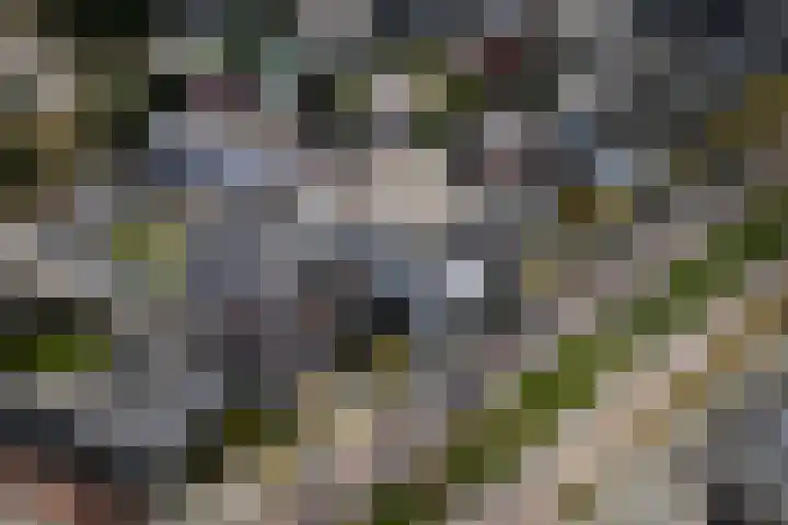 Emmasingel 87 C Weert thumbnail 62