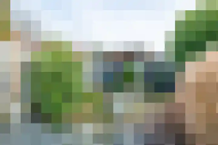 Emmastraat 1 Linne thumbnail 32