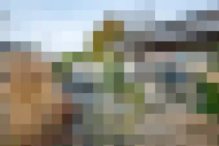 Emmastraat 1 Linne thumbnail 34