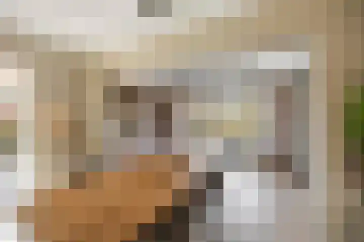 Emmastraat 15 Echt thumbnail 19