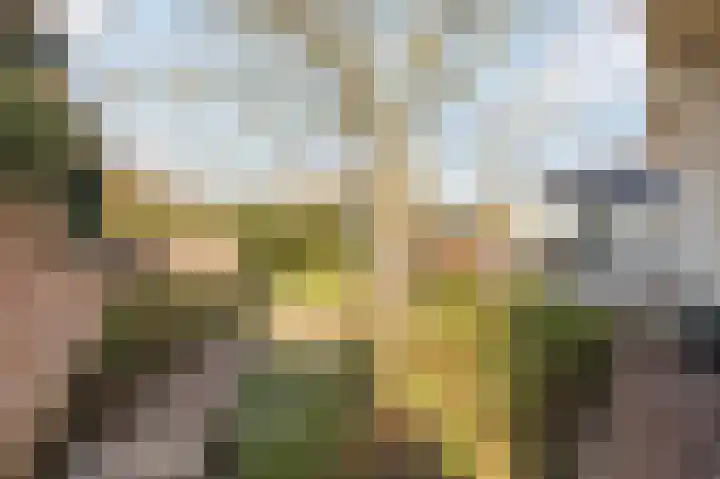 Emmastraat 15 Echt thumbnail 75