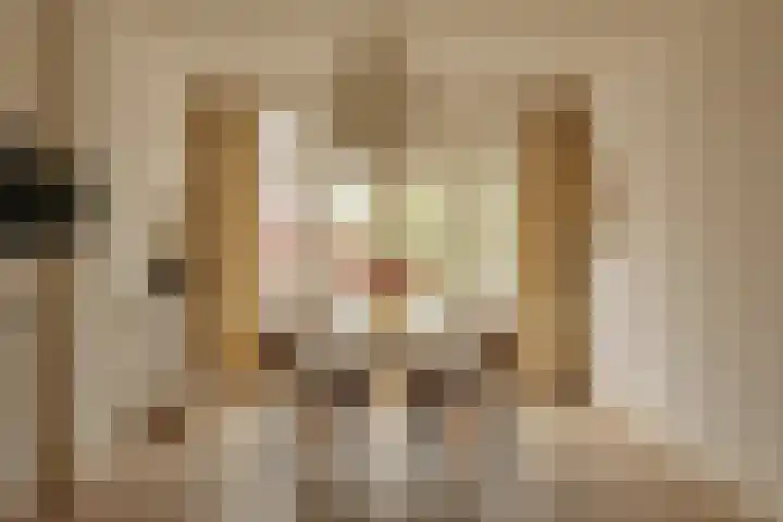 Emmastraat 19 2 Amsterdam thumbnail 4