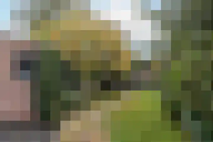 Emmastraat 2 Sittard thumbnail 48