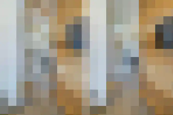 Emmastraat 34 De Lier thumbnail 27