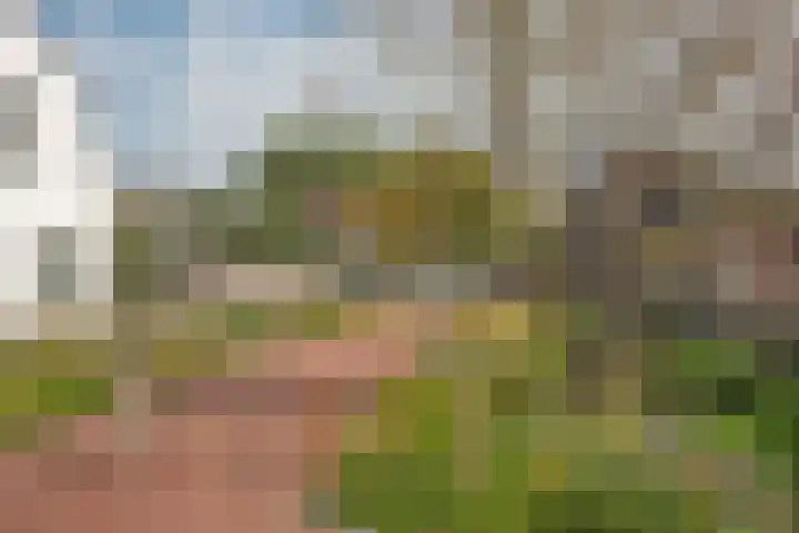 Emmastraat 39 Borne thumbnail 32