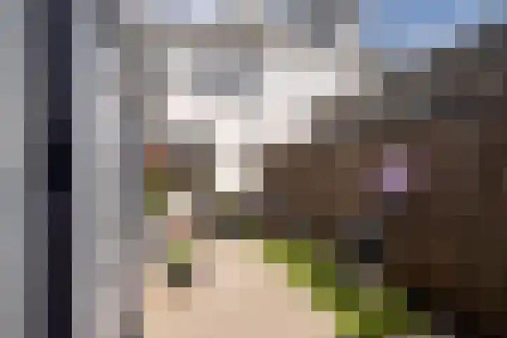 Emmastraat 4 De Lier thumbnail 11