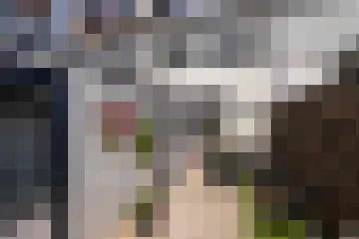 Emmastraat 4 De Lier thumbnail 12