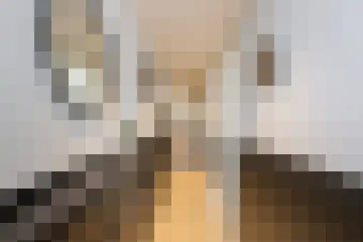 Emmastraat 4 De Lier thumbnail 15