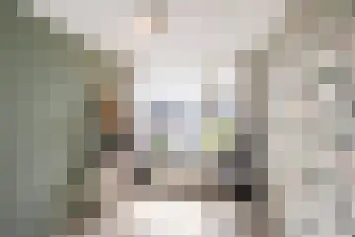 Emmastraat 4 De Lier thumbnail 21