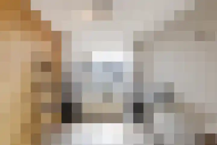 Emmastraat 4 De Lier thumbnail 23
