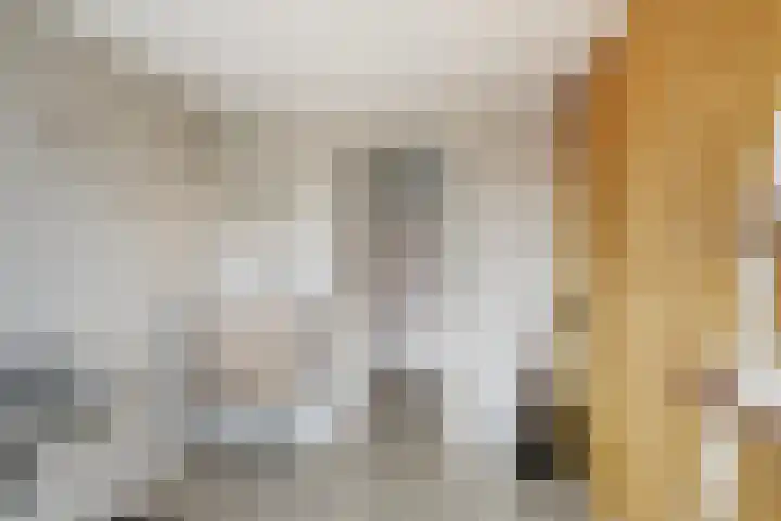 Emmastraat 4 De Lier thumbnail 24