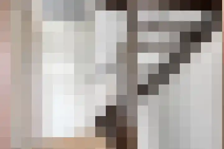 Emmastraat 4 Numansdorp thumbnail 15