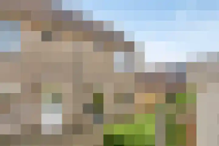 Emmastraat 4 Numansdorp thumbnail 5