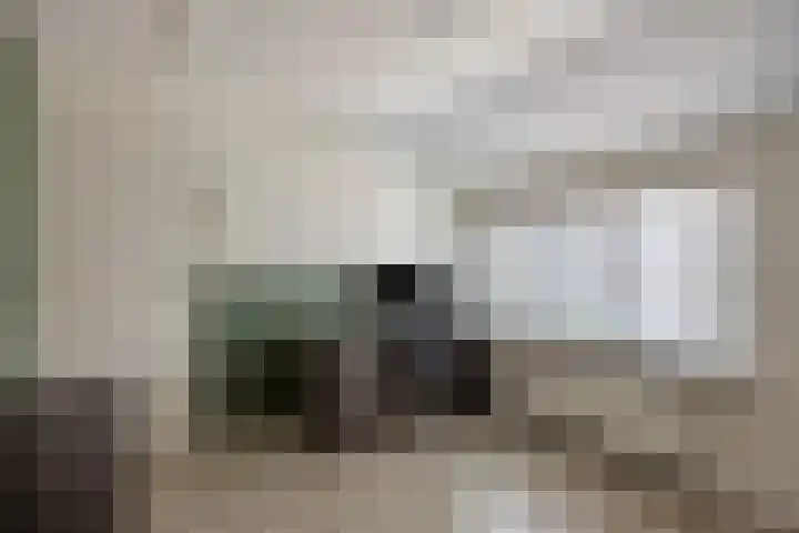 Emmastraat 5 Bleiswijk thumbnail 27