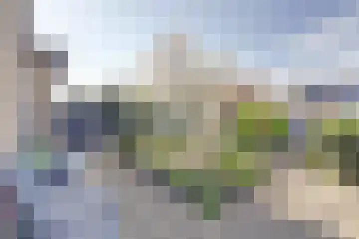 Emmastraat 6 Monster thumbnail 41