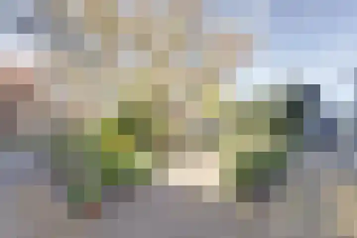 Emmastraat 6 Monster thumbnail 42