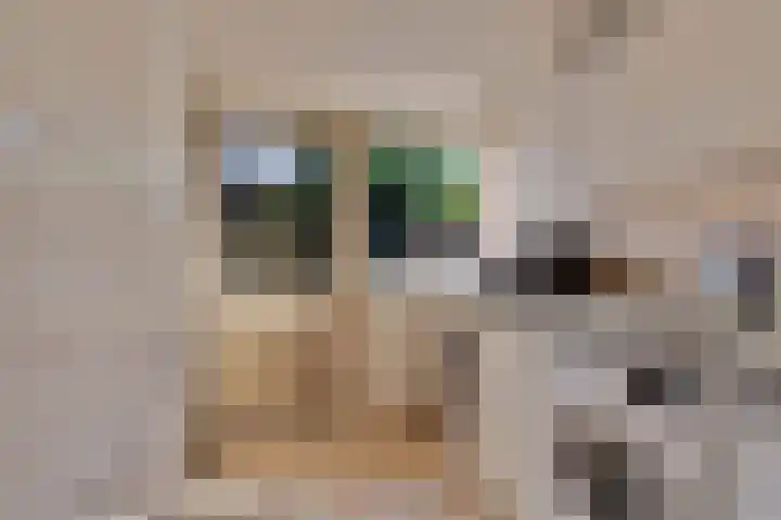 Emmaweg 22 B Made thumbnail 18