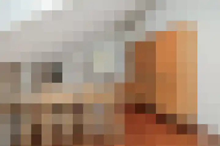 Emmencamp 1 Asten thumbnail 29