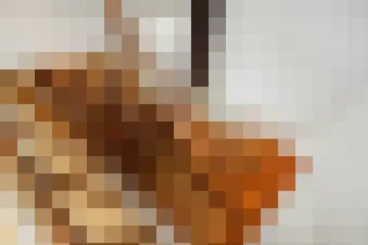 Emmencamp 1 Asten thumbnail 39