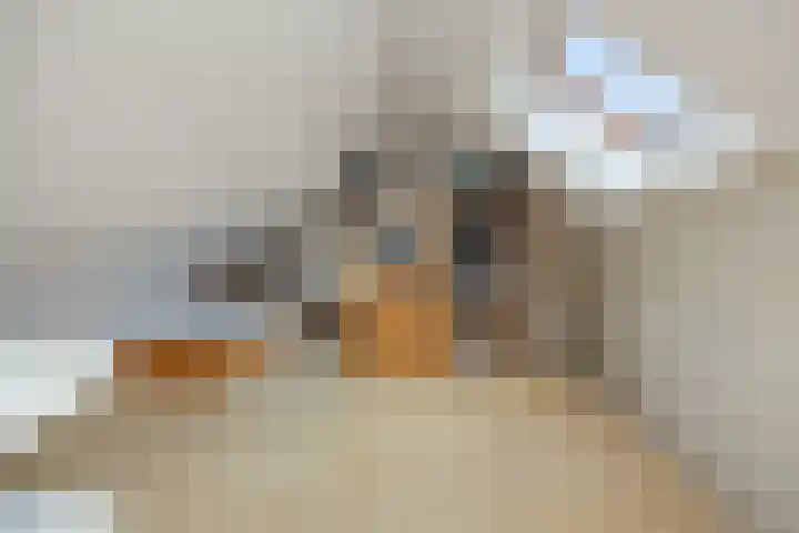 Emmencamp 1 Asten thumbnail 41