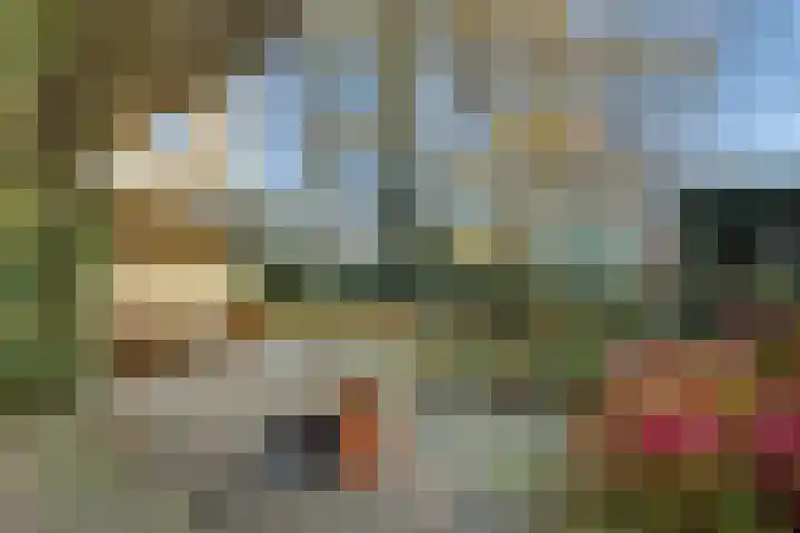 Emmencamp 1 Asten thumbnail 53