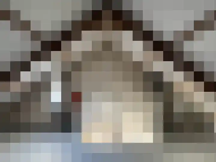 Emmerrek 13 Blaricum thumbnail 14