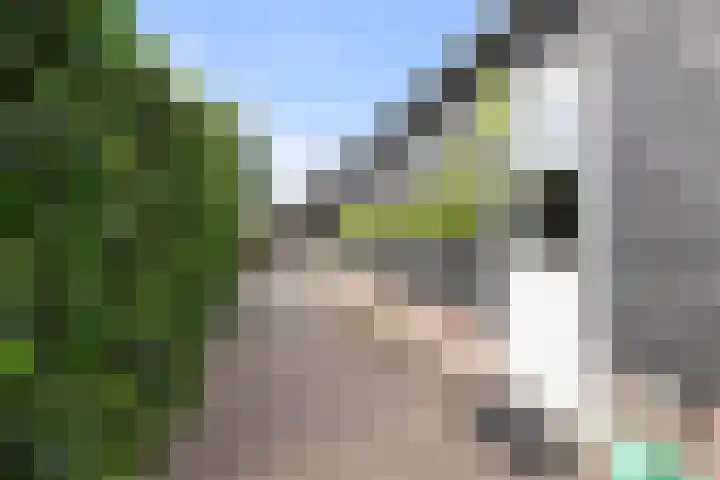 Emperweg 27 Empe thumbnail 37