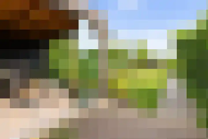 Emperweg 27 Empe thumbnail 39