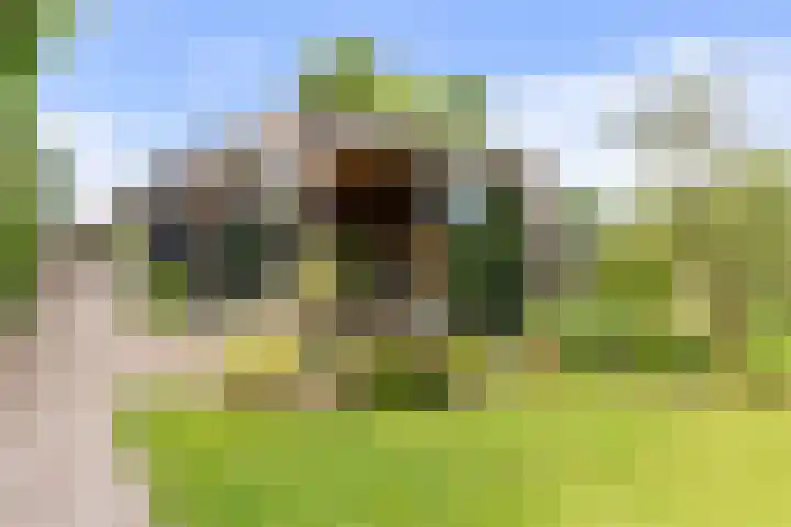 Emperweg 27 Empe thumbnail 45