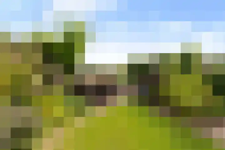 Emperweg 27 Empe thumbnail 49