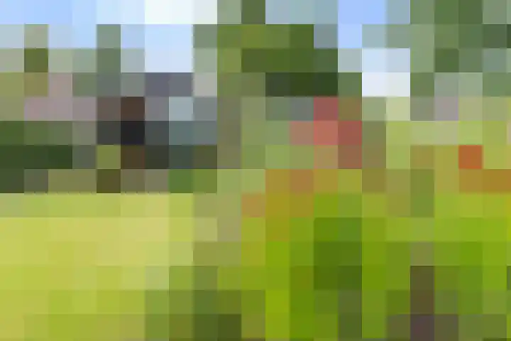 Emperweg 27 Empe thumbnail 50