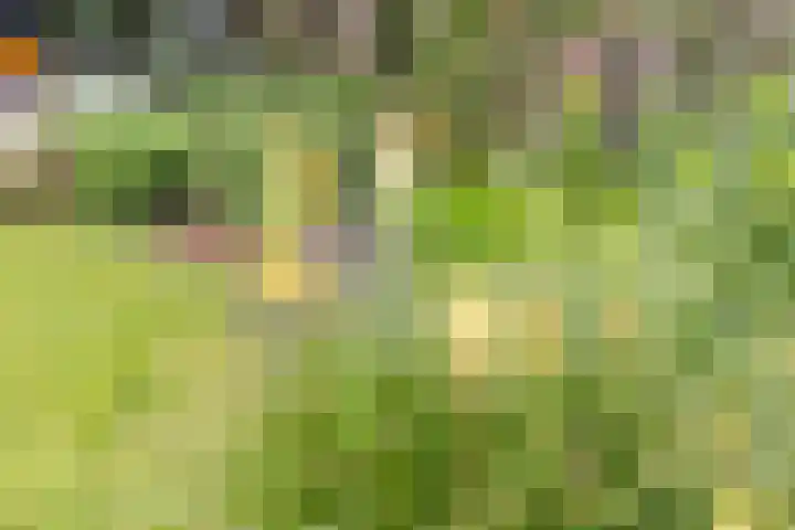 Emperweg 27 Empe thumbnail 51