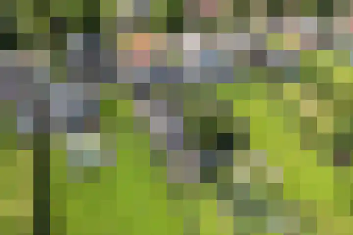 Emperweg 27 Empe thumbnail 53