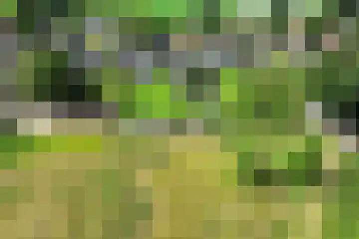 Emperweg 27 Empe thumbnail 56