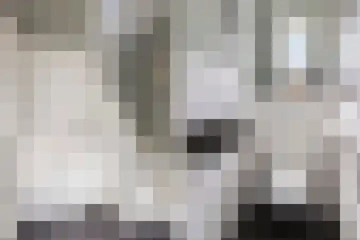 Emperweg 27 Empe thumbnail 9