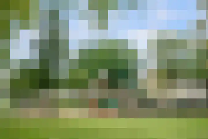 Endenburg 8 Rotterdam thumbnail 32
