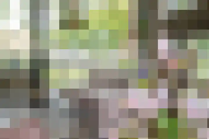 Endenburg 8 Rotterdam thumbnail 5