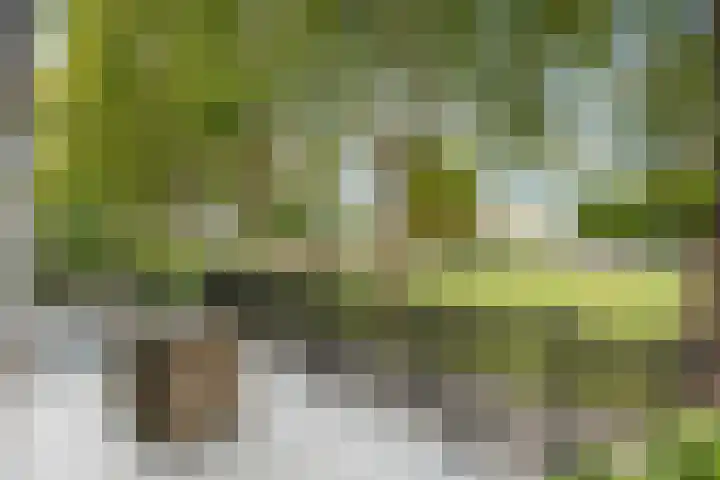 Endenburg 8 Rotterdam thumbnail 7