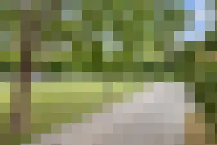 Endenburg 8 Rotterdam thumbnail 8