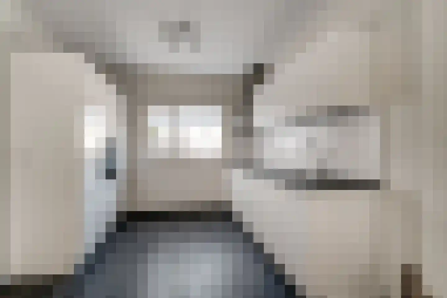 Endepoelstraat 10 Didam thumbnail 11