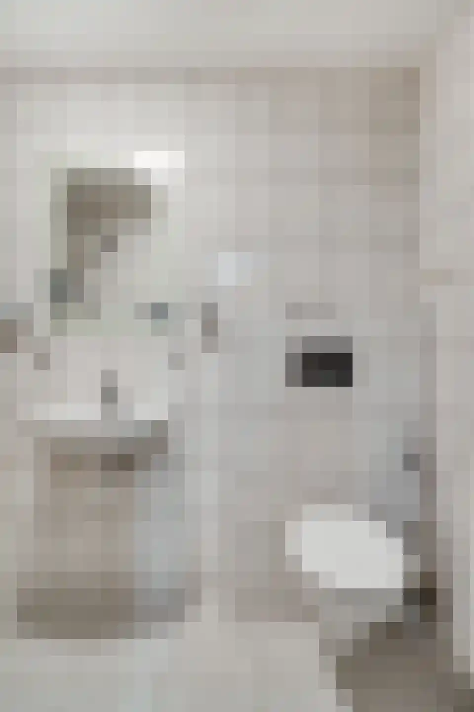 Endepoelstraat 10 Didam thumbnail 16