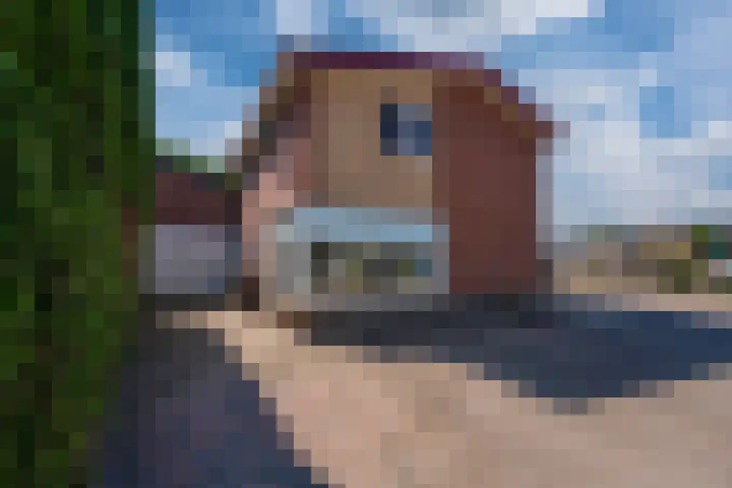 Endepoelstraat 10 Didam thumbnail 4