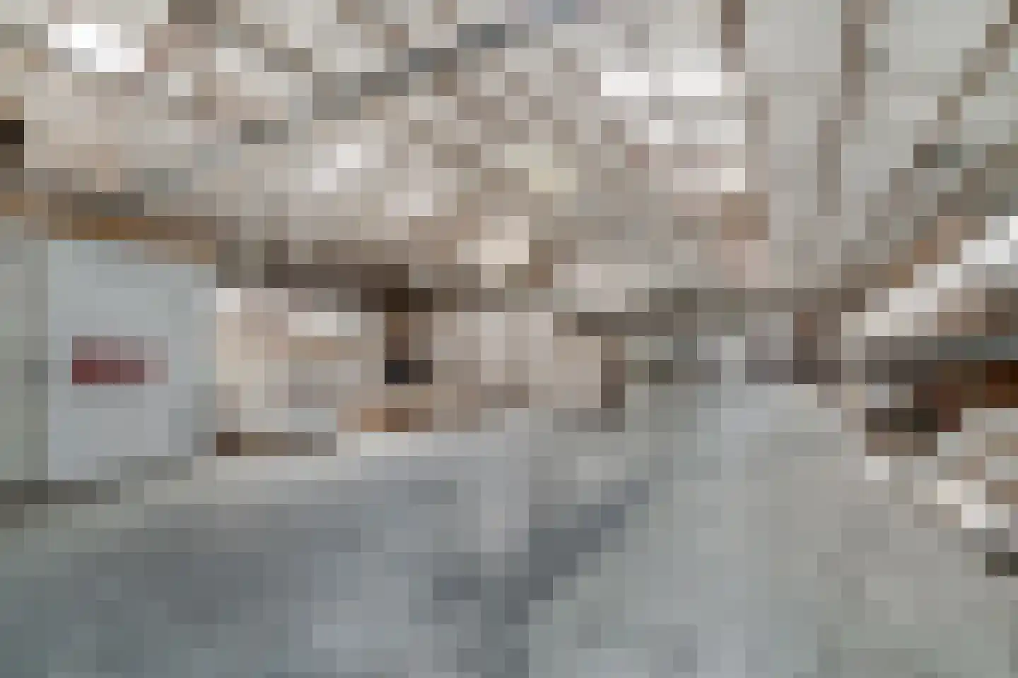 Endepoelstraat 10 Didam thumbnail 43