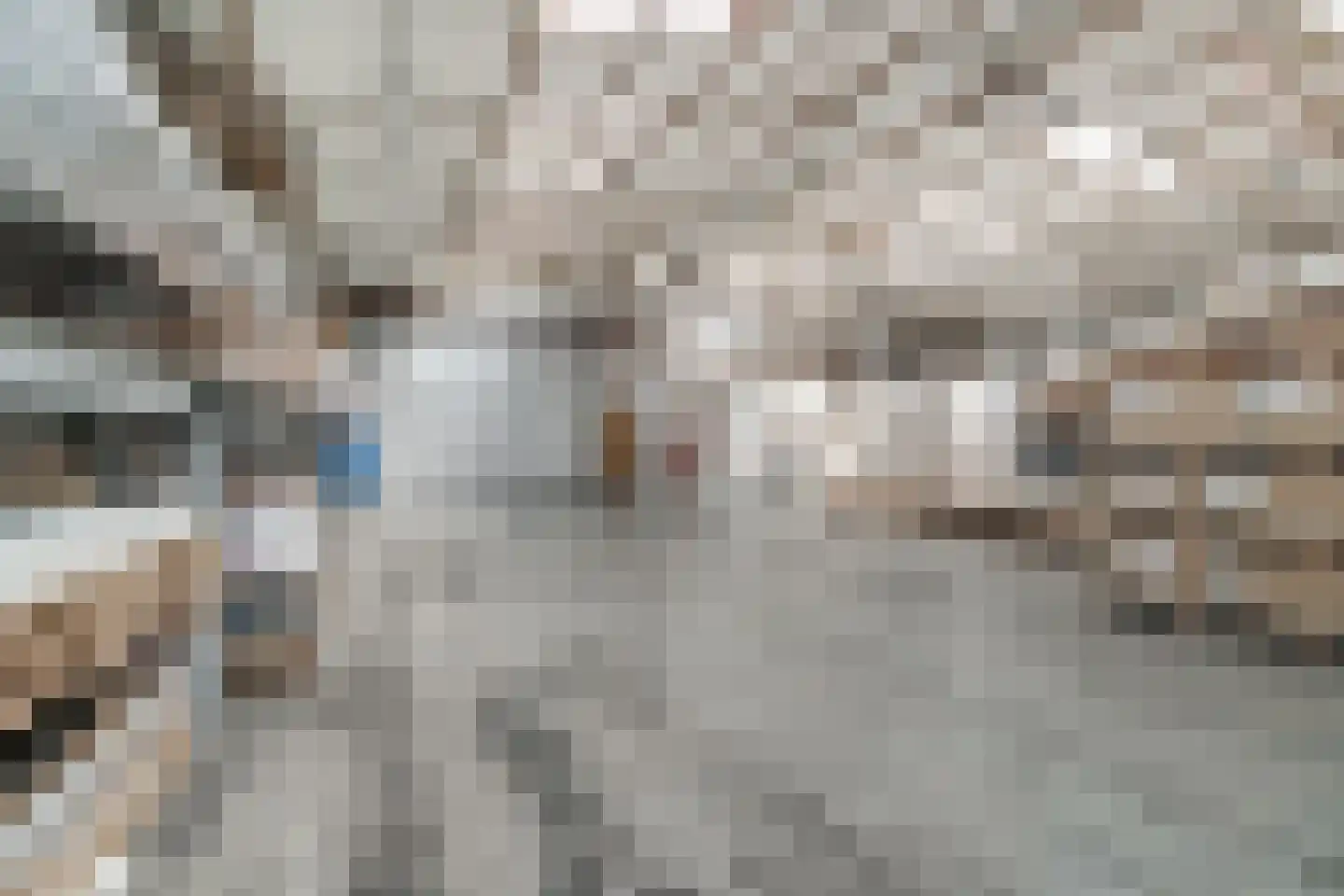 Endepoelstraat 10 Didam thumbnail 44