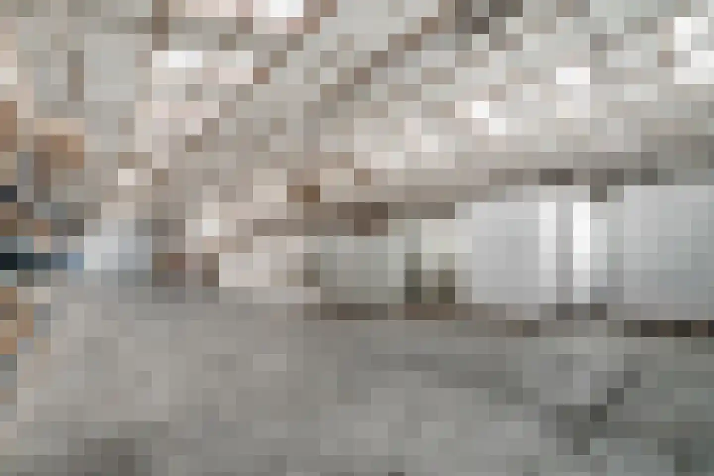Endepoelstraat 10 Didam thumbnail 46