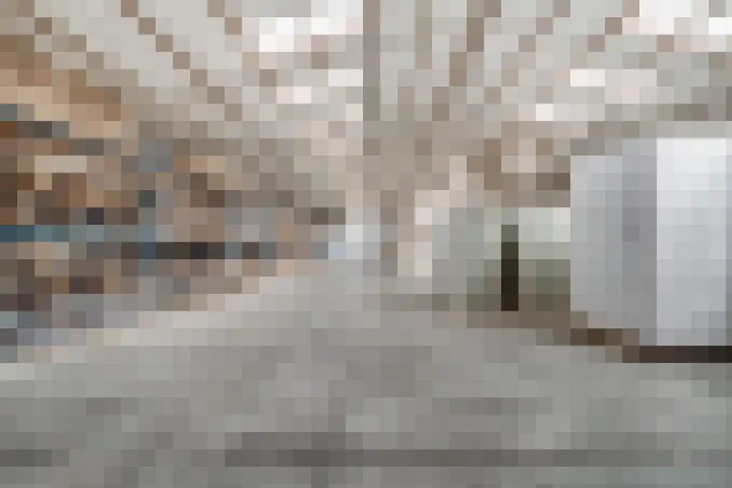 Endepoelstraat 10 Didam thumbnail 47